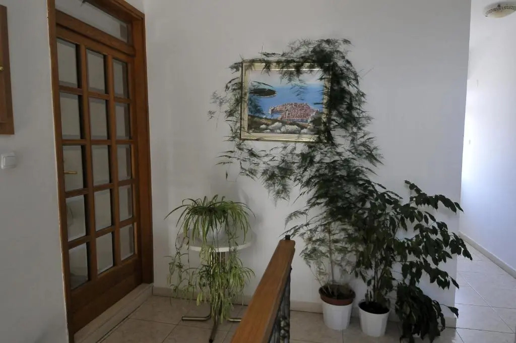 Villa Martinović