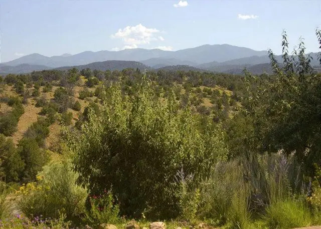 Artist Road #31, 2 Bedrooms, Sleeps 4, Wood Fireplace, WiFi, Pool Access