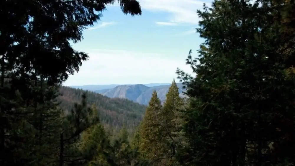 Scenic Wonders Treehouse Lodge 2 Bedroom