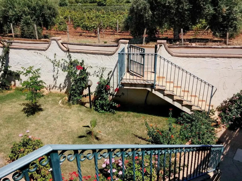 Il Fenicottero 2