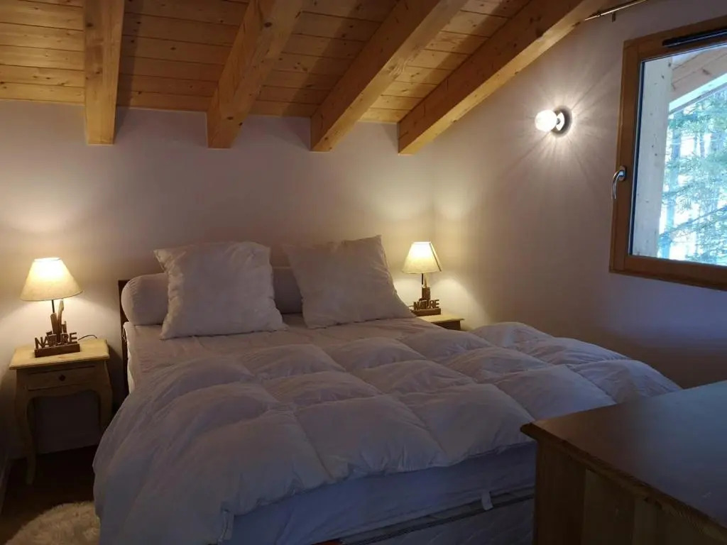 Chalet Notre-Dame-de-Bellecombe, 4 pièces, 8 personnes - FR-1-595-36