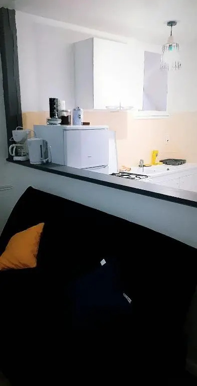 Appartement 48m2 pour 6 personnes au centre ville historique avec parking gratuit et une borne de recharge pour voiture à 10 metres