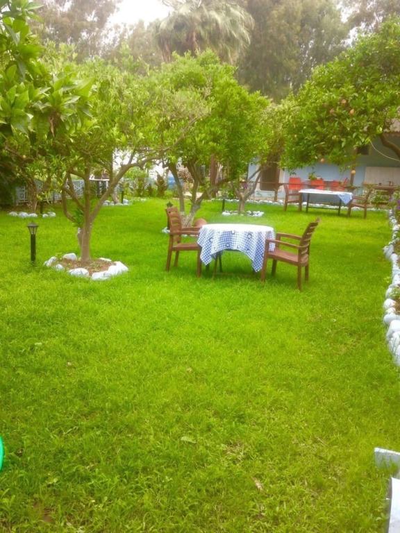 Gelincik Pansiyon