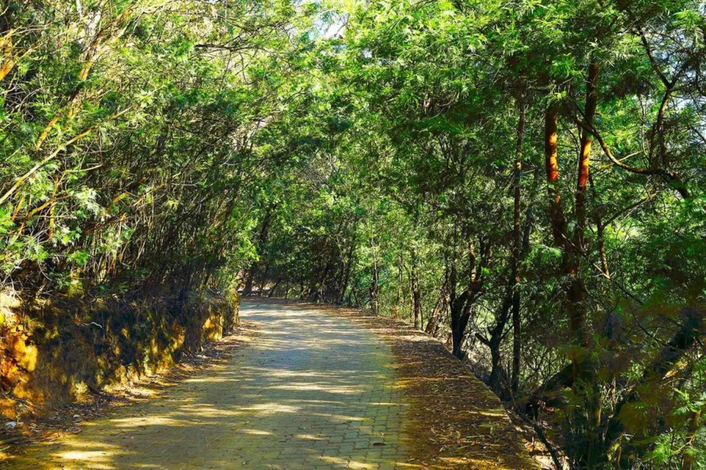 Logan Camp Ooty