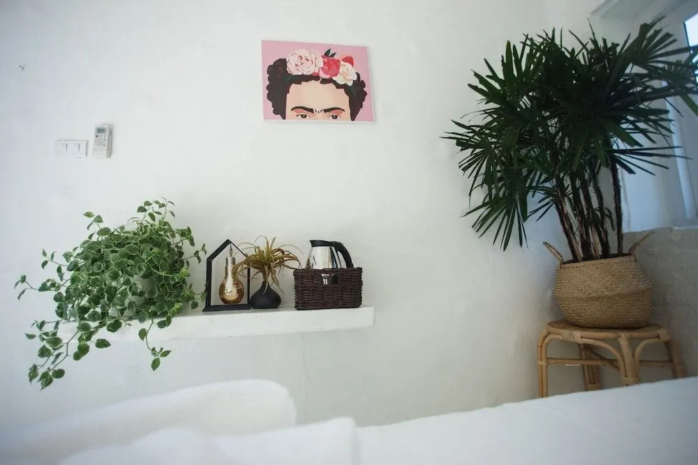 Frida Friday Boutique Hotel