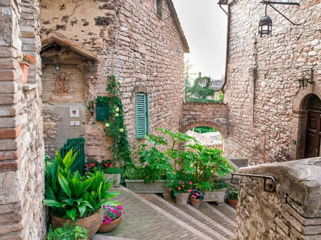 La Viola di Assisi
