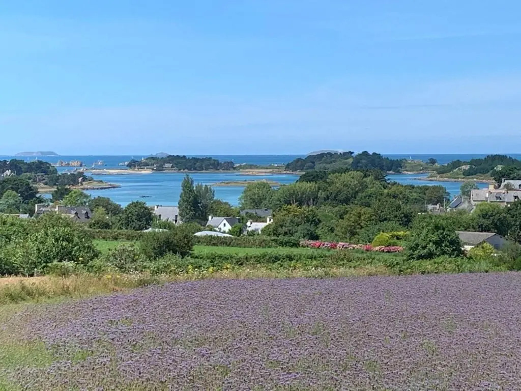Les Villas dOnalou - Buguélès