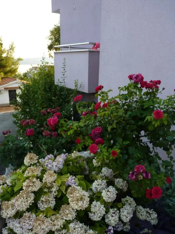 Apartmani Ferdi