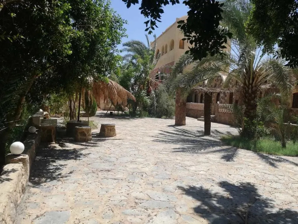 Ahmed Safari Camp