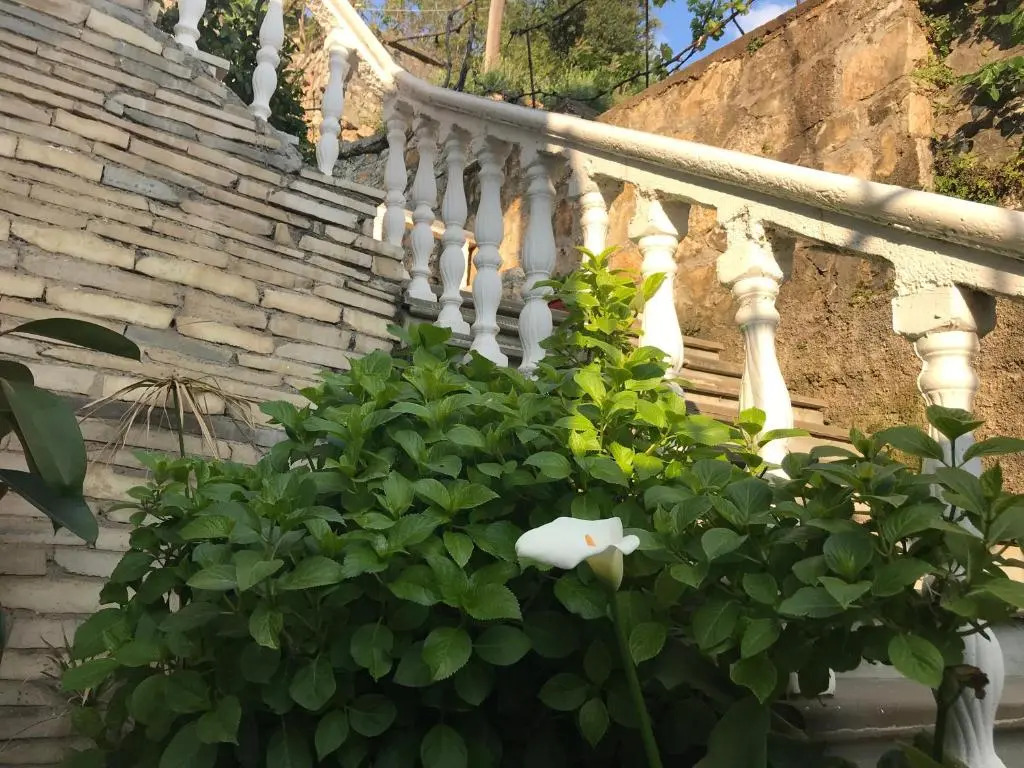 Guest House Himaj
