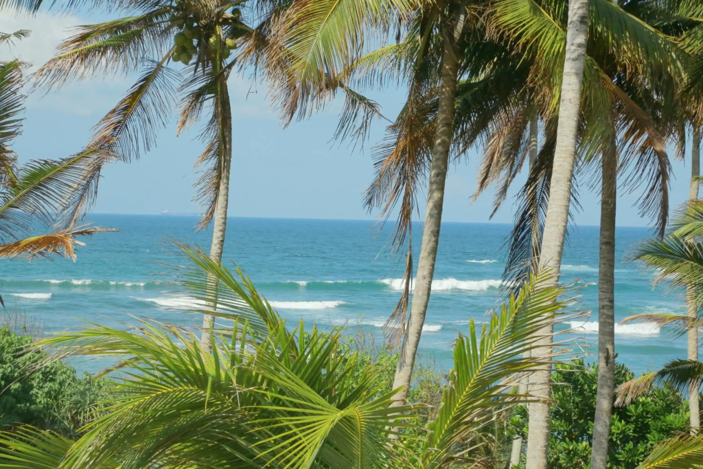 Coconut Hill Homestay