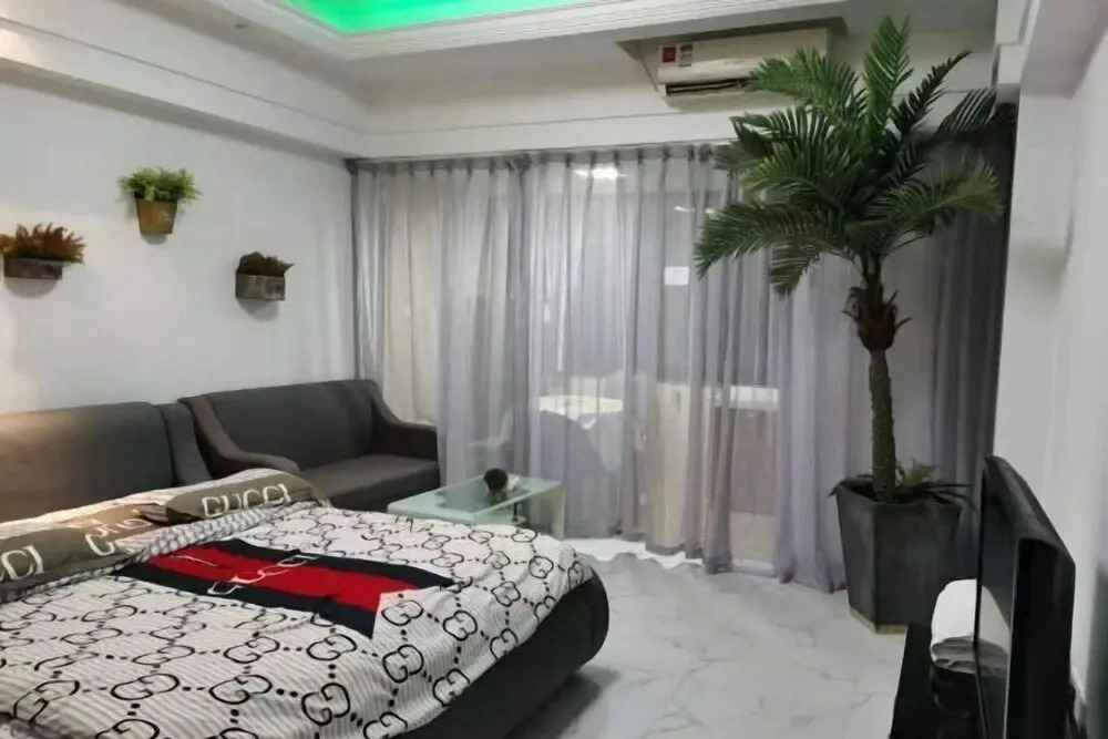 Central Apartment