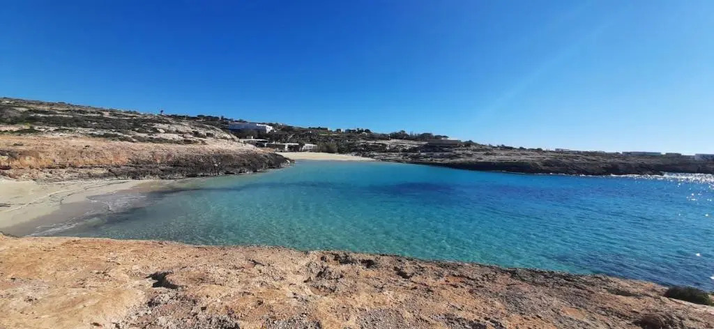 Casa Vacanza Delfino Rosa