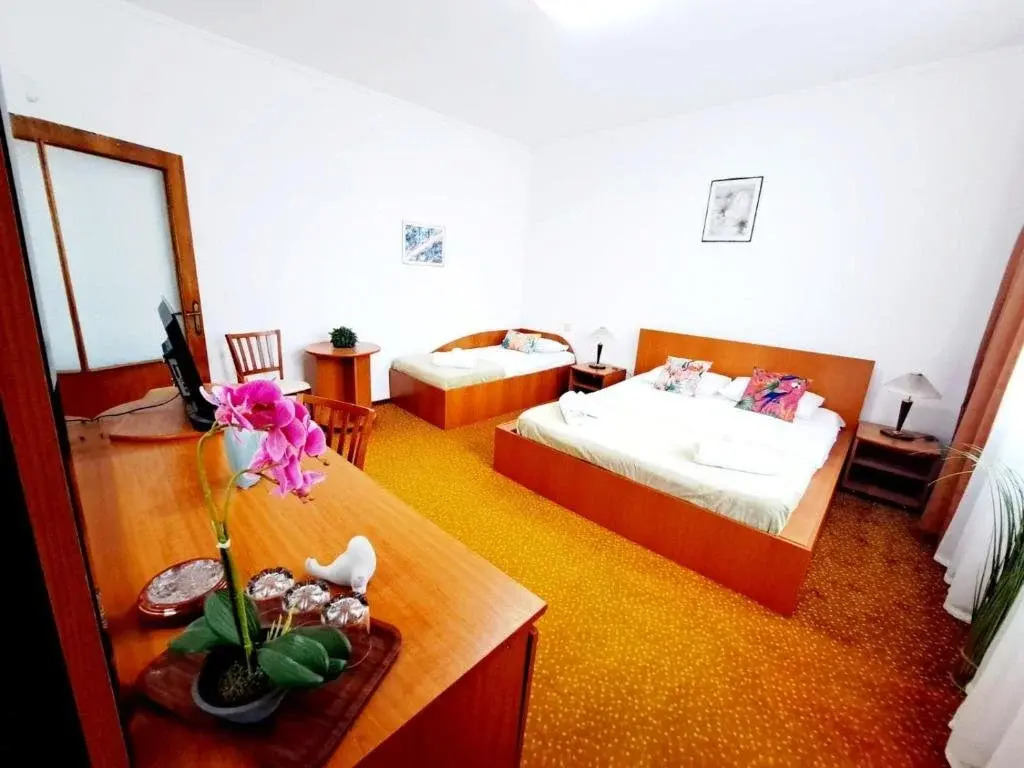 Hotel Arges