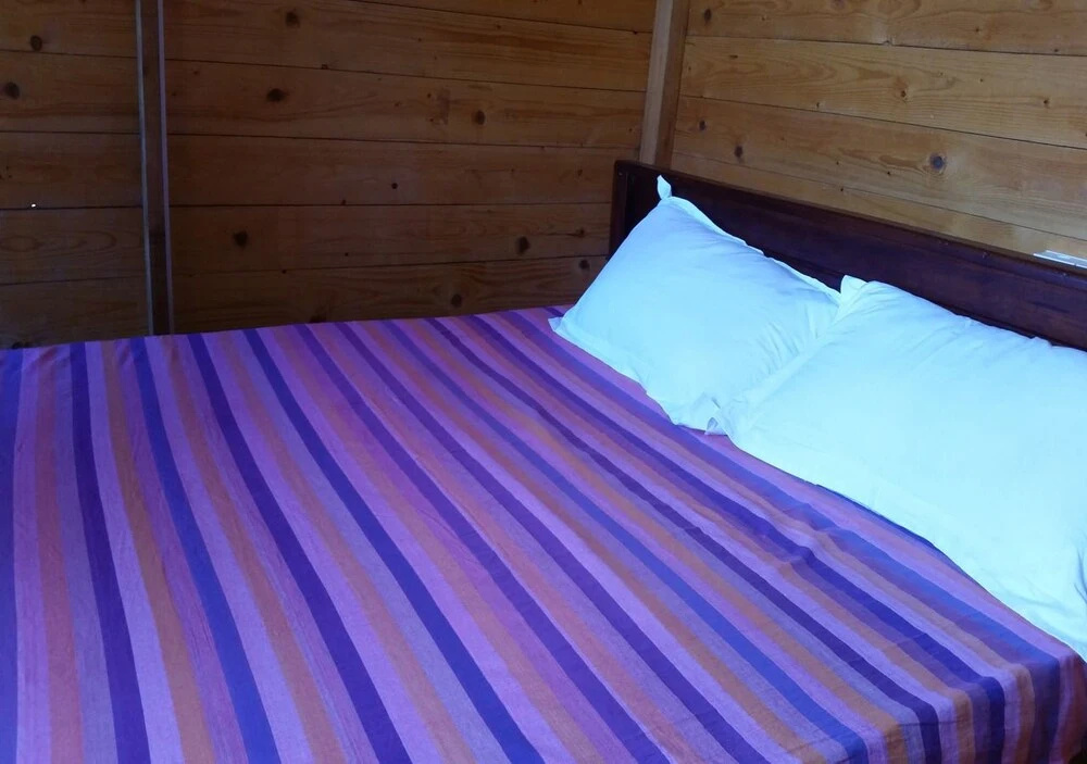 Ceylon Antheia Beach camping site