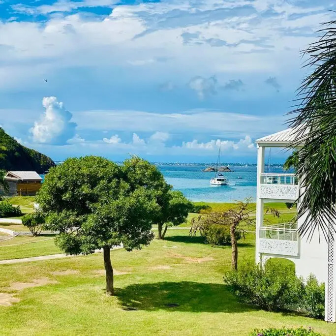 Studio tropical, beautifully renovated, sea view
