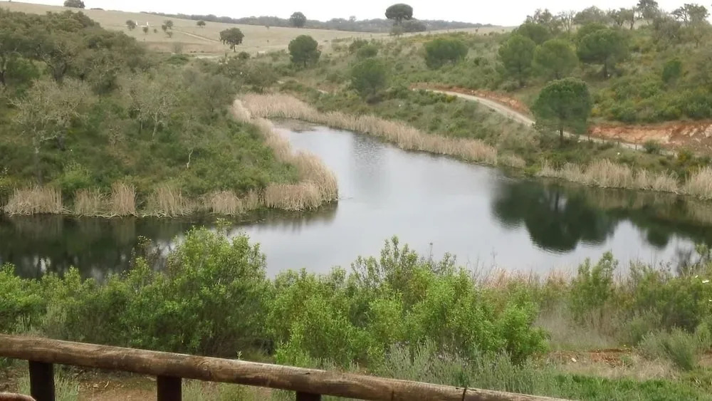 Monte da Pedra