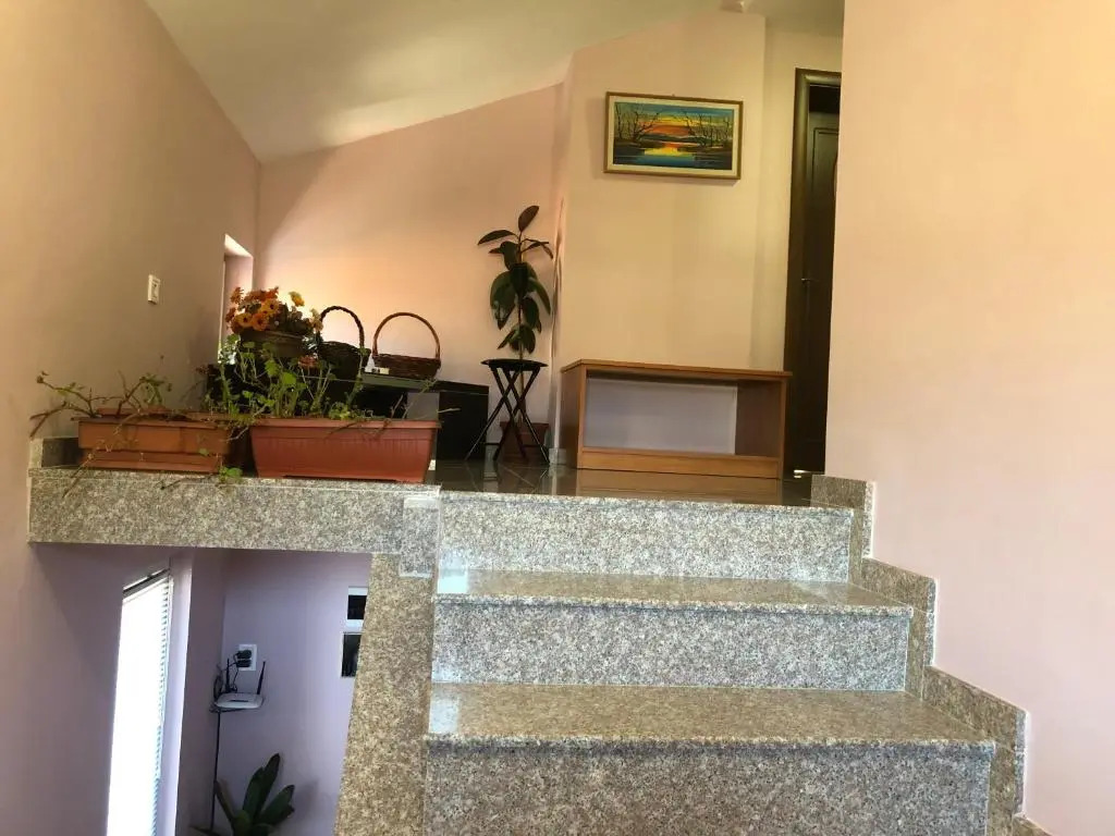Vasilevi House