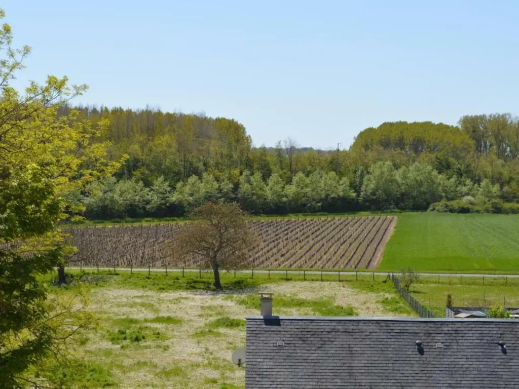 Charmant gîte à Vouvray avec 2 chambres et jardin - FR-1-381-167