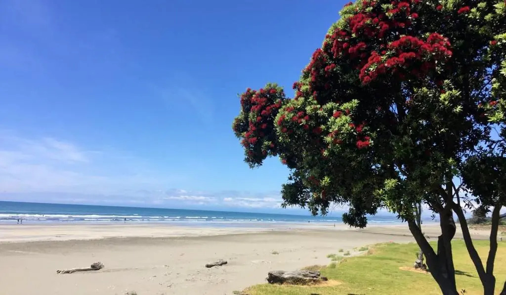 Whakatane Hotel