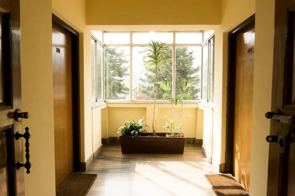 Swayambhu View Guest House