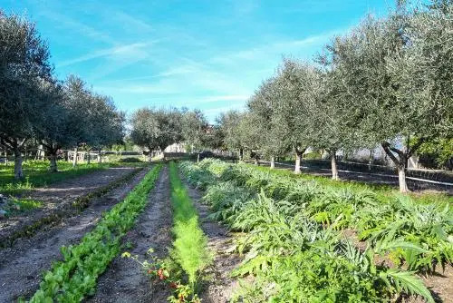 Casa Zafferano