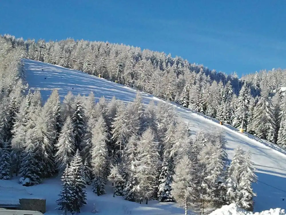 Hotel Grizzly "Ski-in Ski-out"