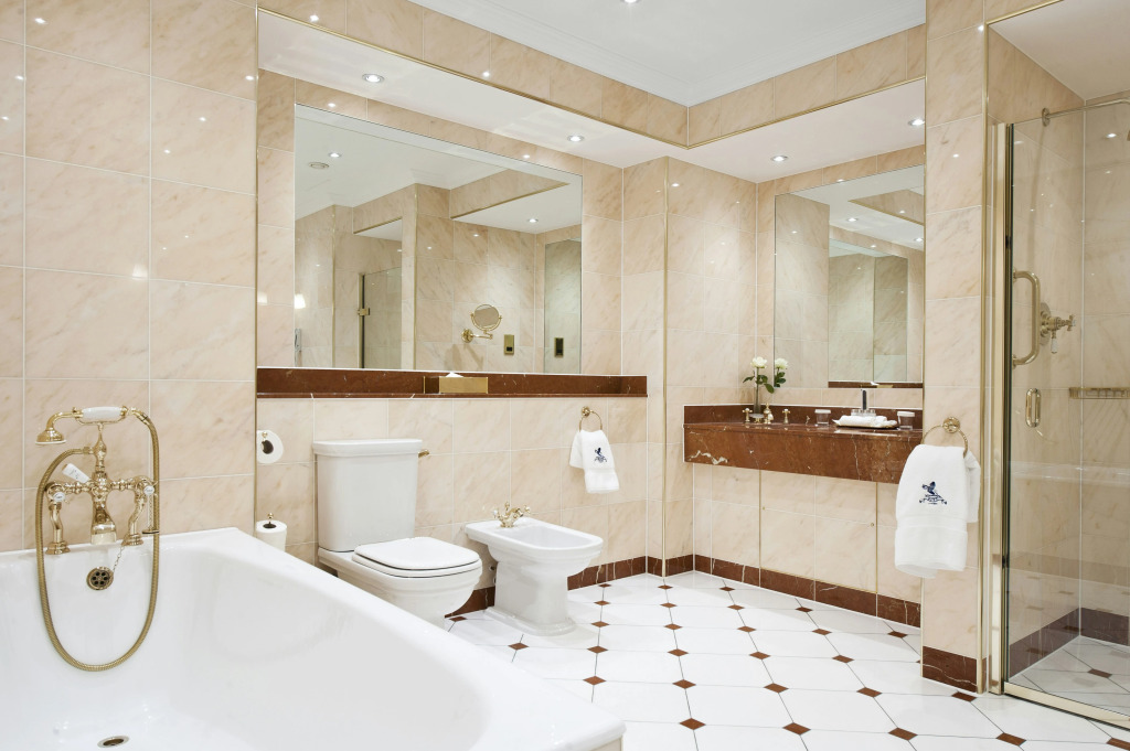 The Ritz London