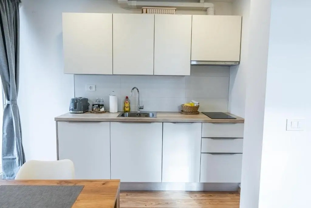 Apartments Skok with rafting and free parking