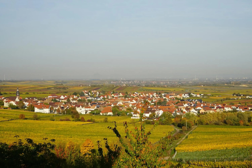 Ferienwohnung Knittel