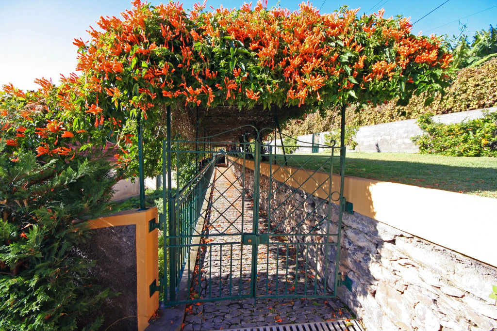 Lovingly restored old villa, heated pool, garden, sea views | Quinta Girassol
