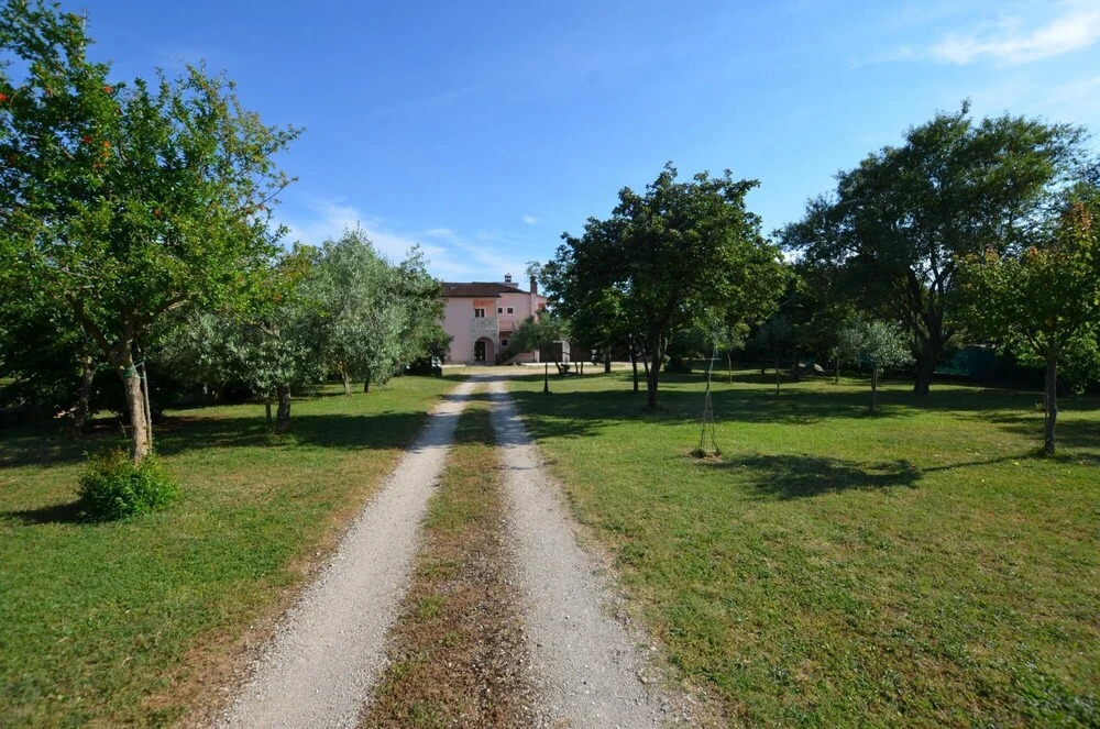 Orbanic Apartment 2 in Rovinj