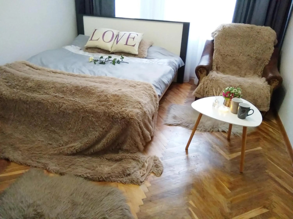 Comfortable modern apartment