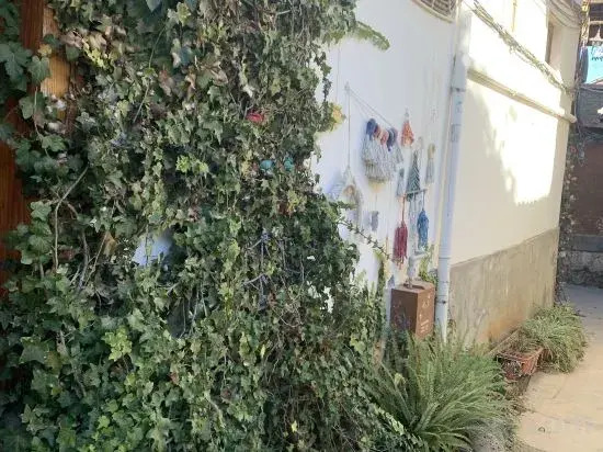 Lijiang xingyuge hotel
