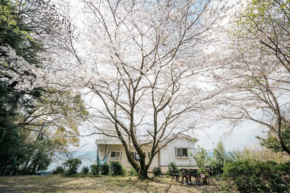 Sakura Beach Garden