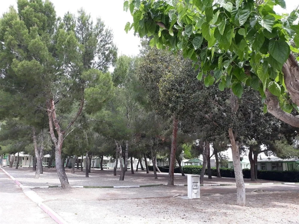 Camping La Paz