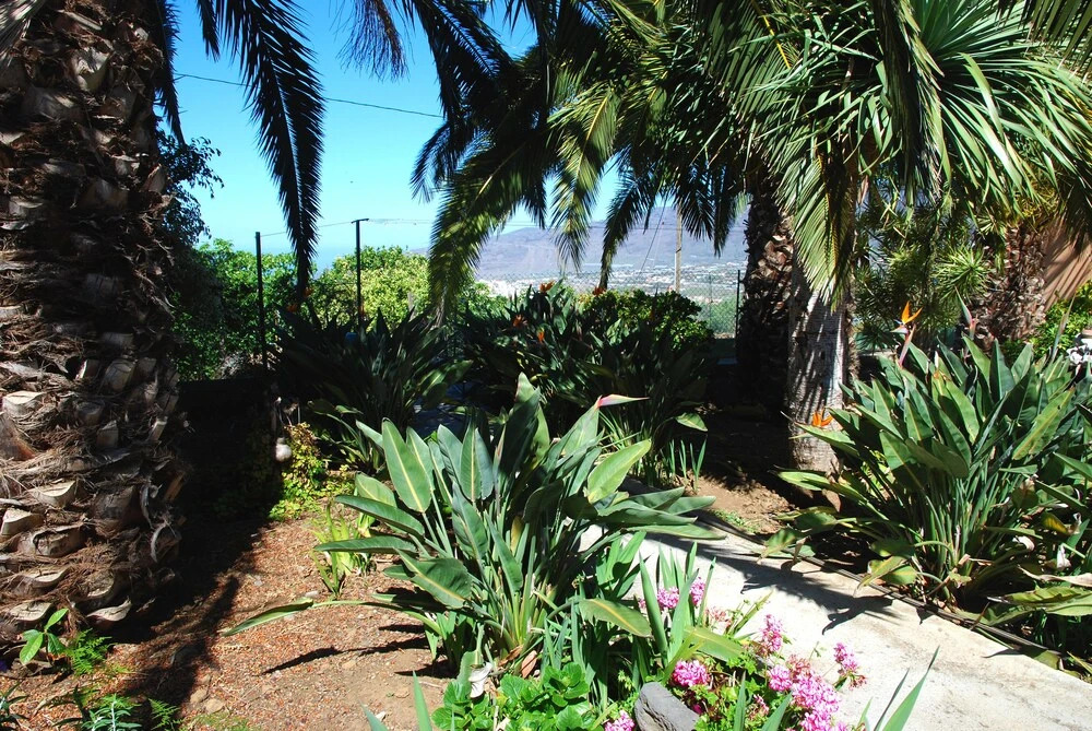 Casa Bana 2