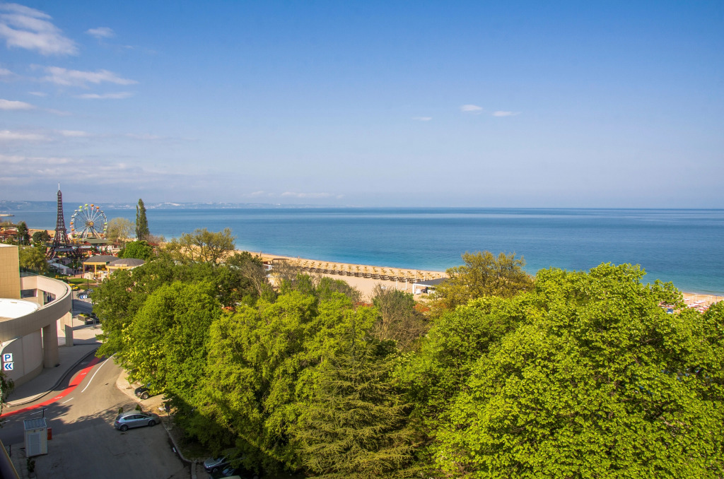Гладиола Стар / Gladiola Star