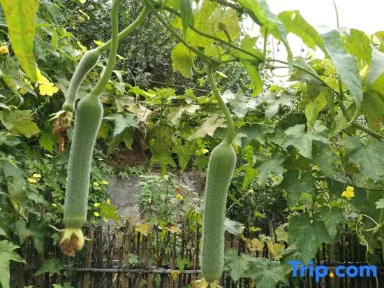 Heming Homestay (Tai'an Branch)