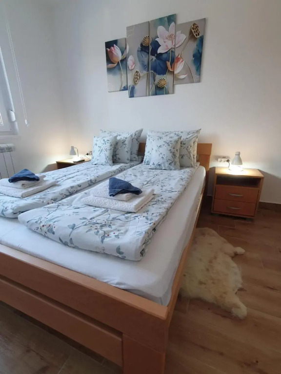 Apartment No 11