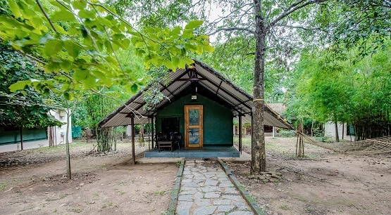Bannerghatta Nature Camp-Jungle Lodges