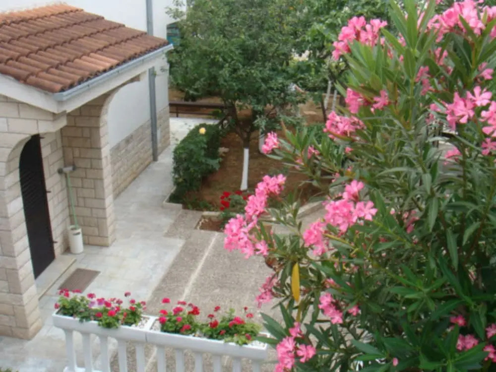 Apartment Sandra