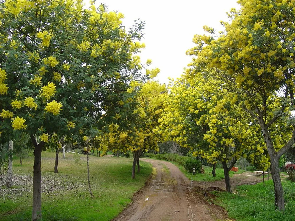 Puerto Peñas