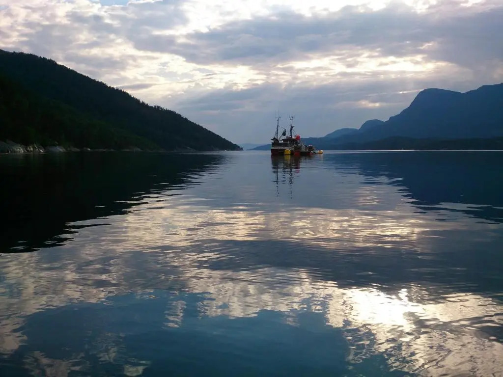 Ropeid Fjordferie
