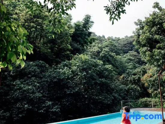 The Jing House