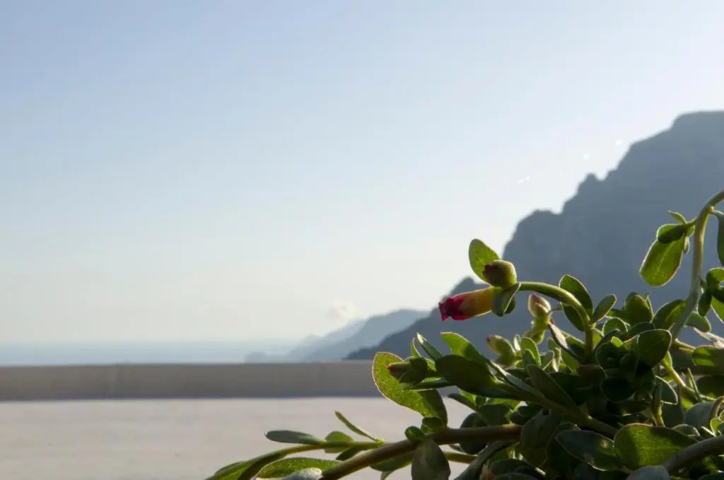 Casa Romelide Positano Amazing view on Amalfi Coast