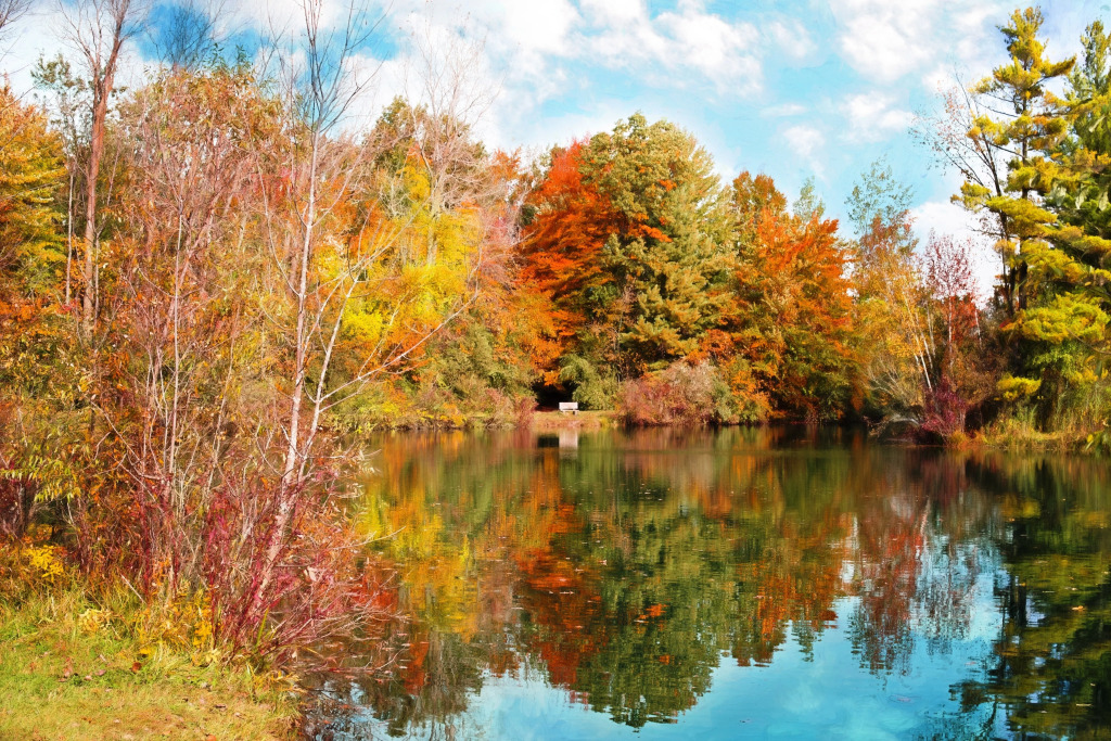 Holiday Inn Express & Suites - Welland