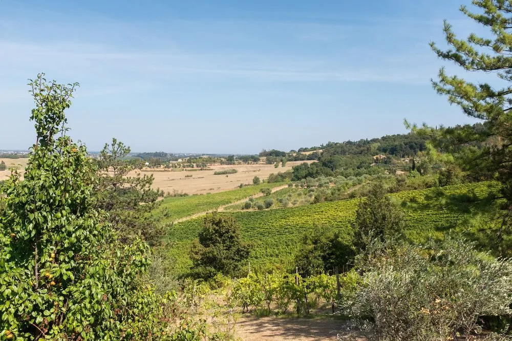 Il Vigneto Cottage