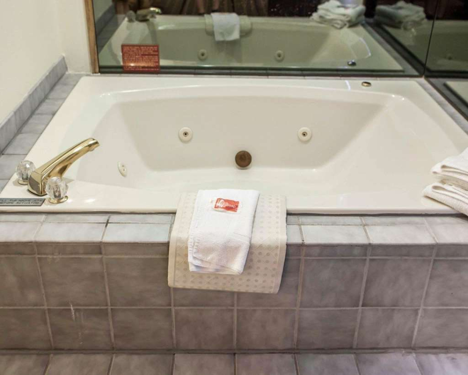 Econo Lodge Inn & Suites Davenport Area