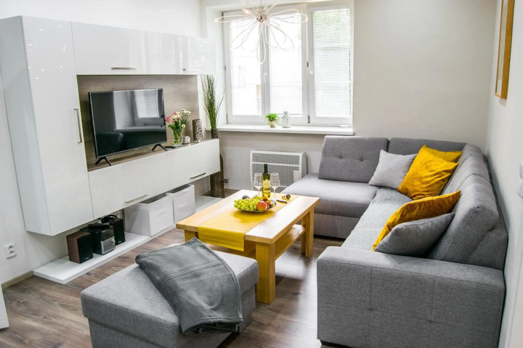 Apartment in downtown